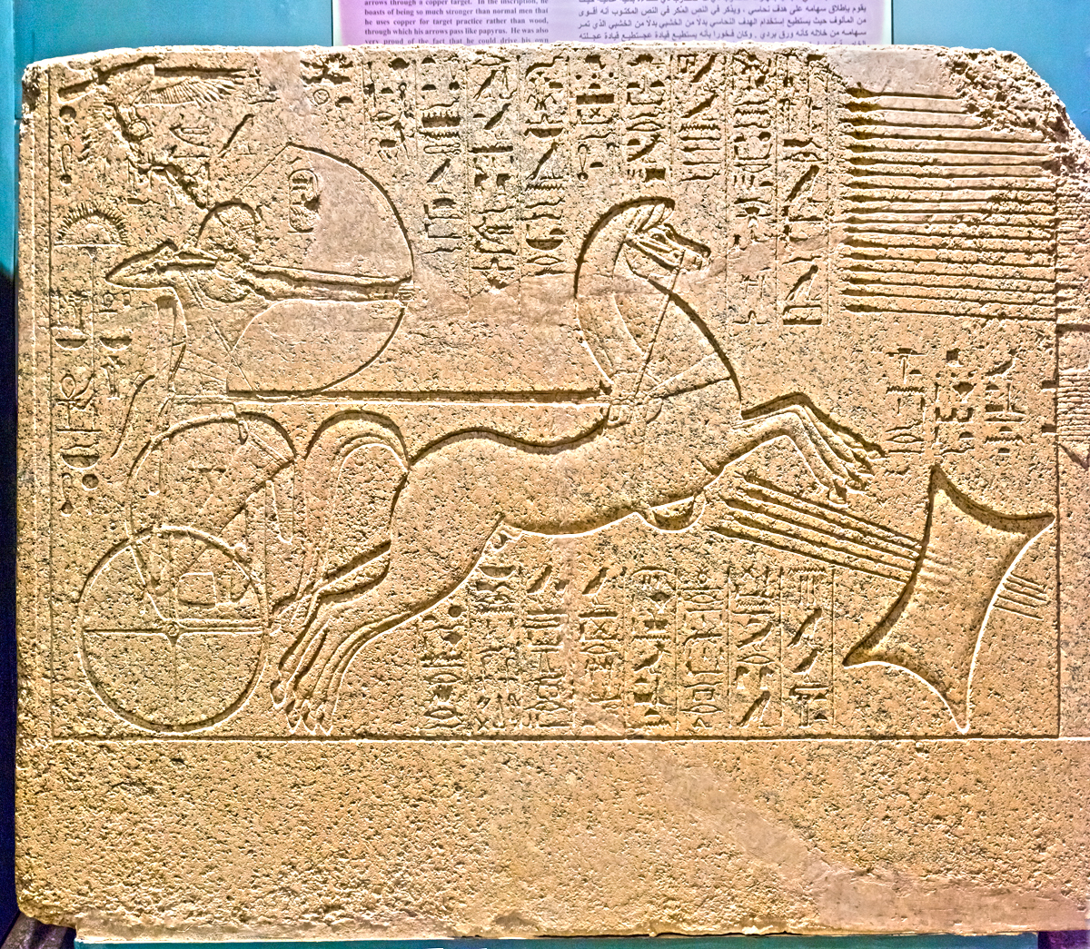 II. AMENHOTEP'in rölyefi, Luksor Müzesi